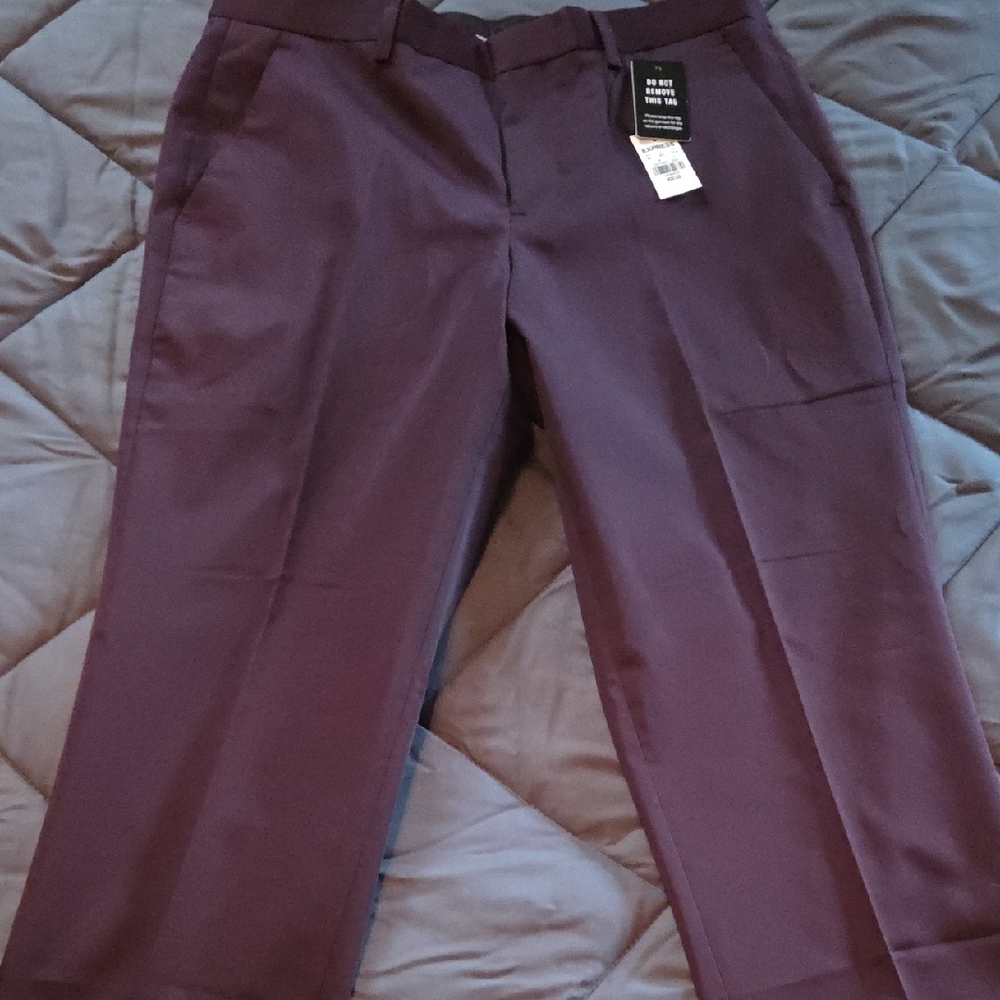 Express Men's Plum Dress Pants 30x32